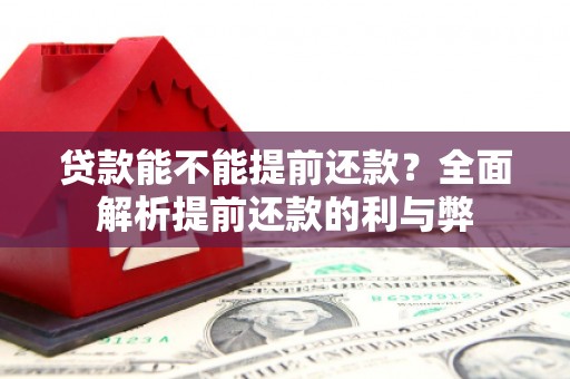 洛浦贷款能不能提前还款？全面解析提前还款的利与弊