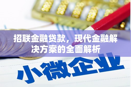 洛浦招联金融贷款，现代金融解决方案的全面解析