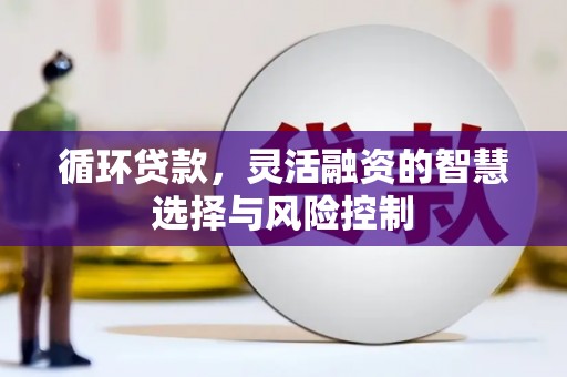 洛浦循环贷款，灵活融资的智慧选择与风险控制