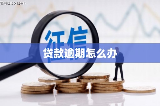 洛浦贷款逾期怎么办