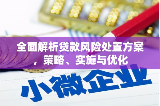 洛浦全面解析贷款风险处置方案，策略、实施与优化