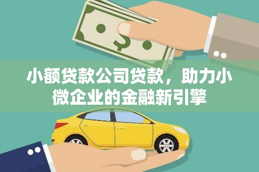 洛浦小额贷款公司贷款，助力小微企业的金融新引擎