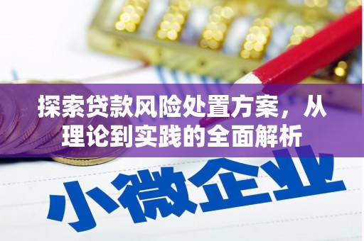 洛浦探索贷款风险处置方案，从理论到实践的全面解析