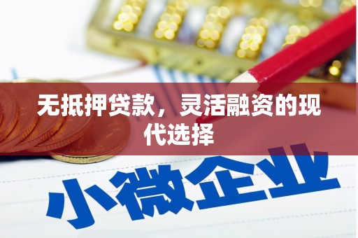 洛浦无抵押贷款，灵活融资的现代选择