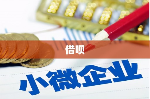 洛浦借呗