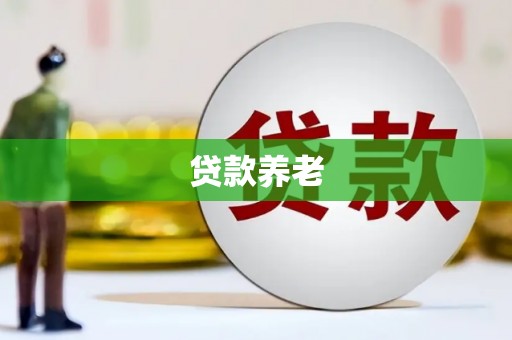 洛浦贷款养老