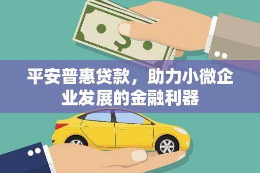洛浦平安普惠贷款，助力小微企业发展的金融利器