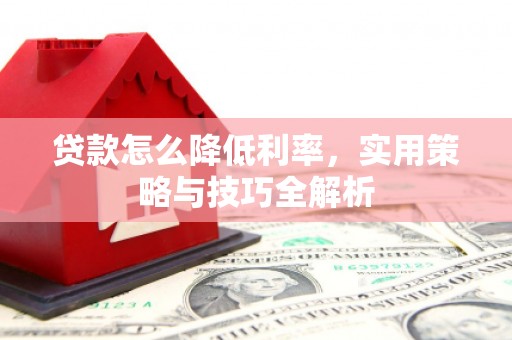 洛浦贷款怎么降低利率，实用策略与技巧全解析
