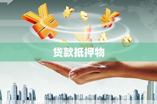 洛浦贷款抵押物