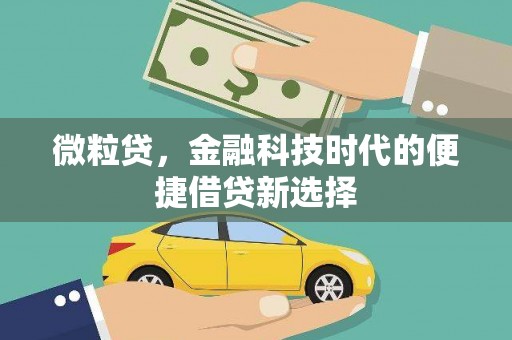 洛浦微粒贷，金融科技时代的便捷借贷新选择