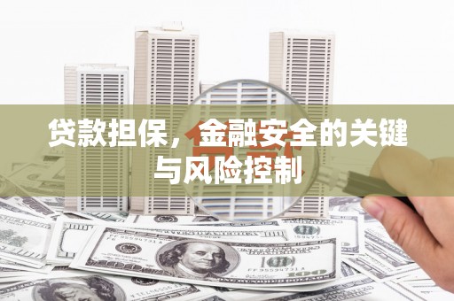 洛浦贷款担保，金融安全的关键与风险控制