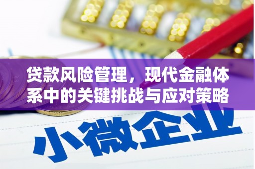洛浦贷款风险管理，现代金融体系中的关键挑战与应对策略