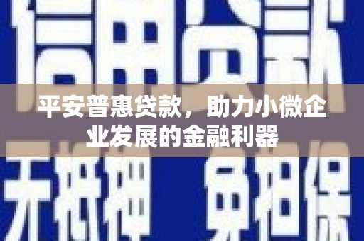 洛浦平安普惠贷款，助力小微企业发展的金融利器