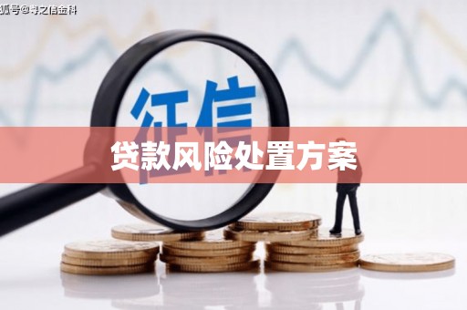 洛浦贷款风险处置方案