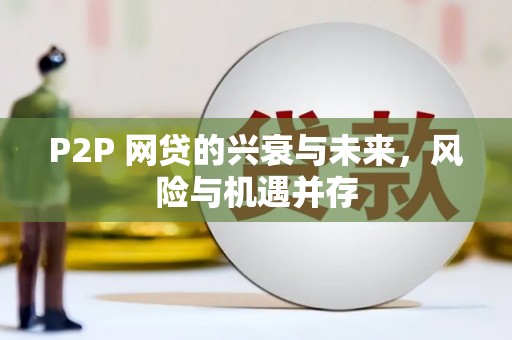 洛浦P2P 网贷的兴衰与未来，风险与机遇并存