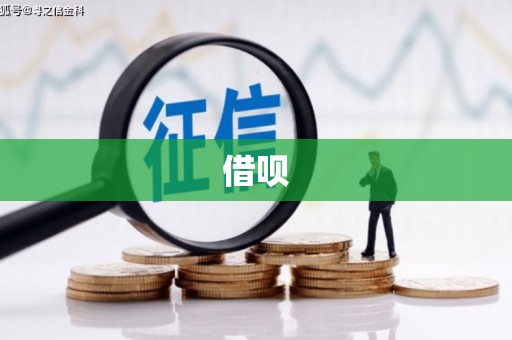 洛浦借呗
